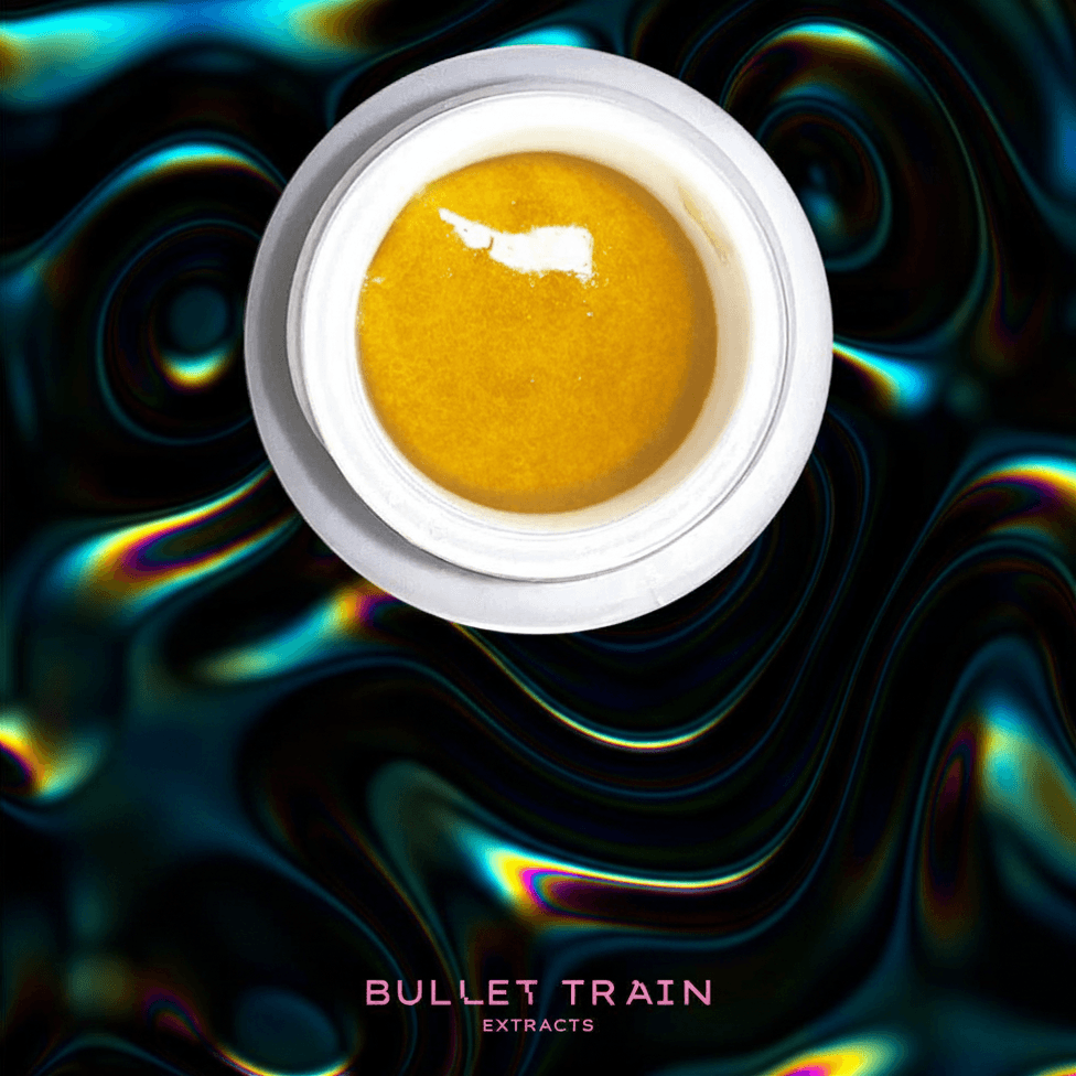 Bullet Train Zummies Live Badder