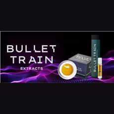 Bullet Train Road Trip Diamonds