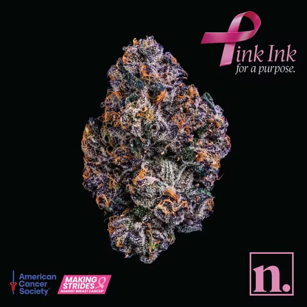niche. Pink Ink