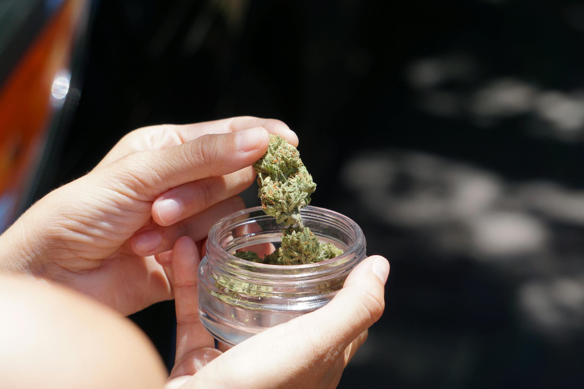Cannabis flower buds in clear glass jar
