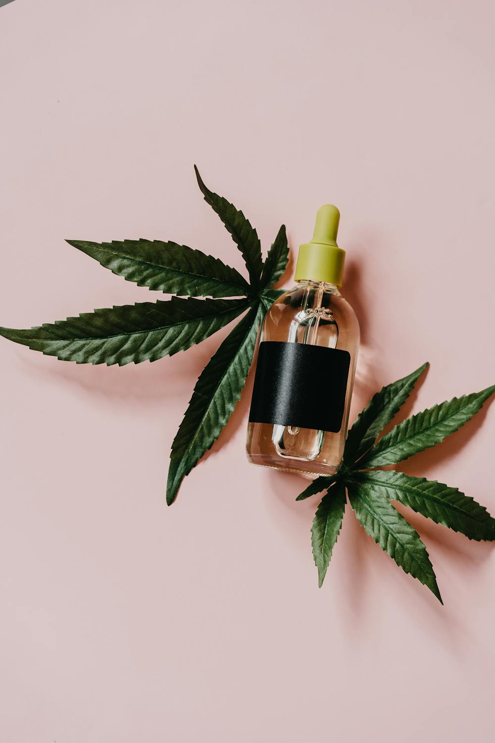 CBD oil tincture dropper bottle with cannabis leaves